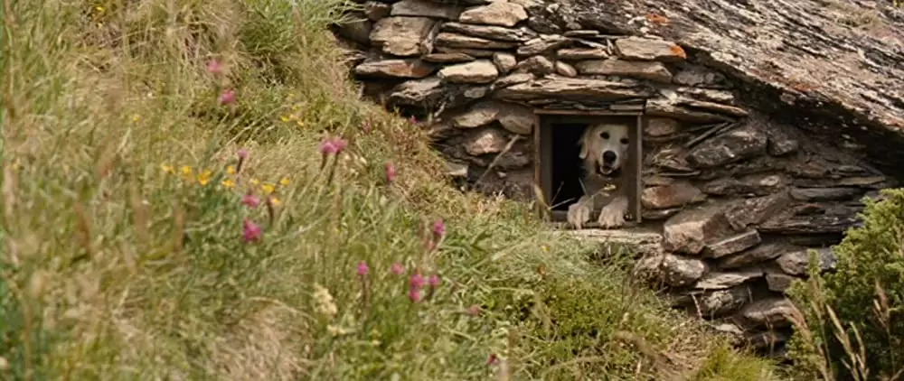 ベル＆セバスチャンの画像