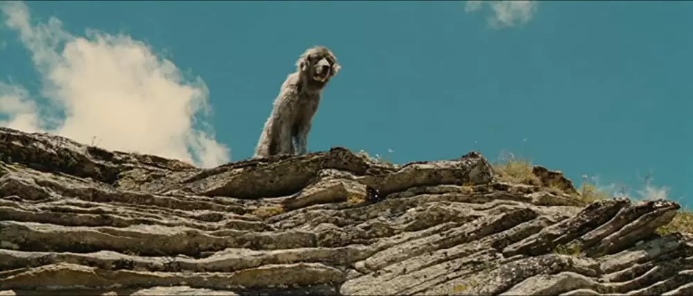 ベル＆セバスチャンの画像