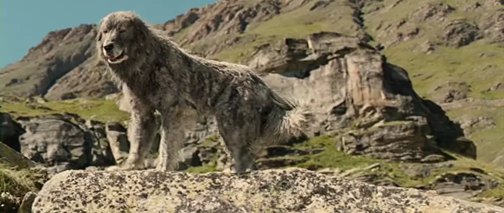 ベル＆セバスチャンの画像