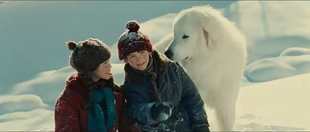 ベル＆セバスチャンの画像