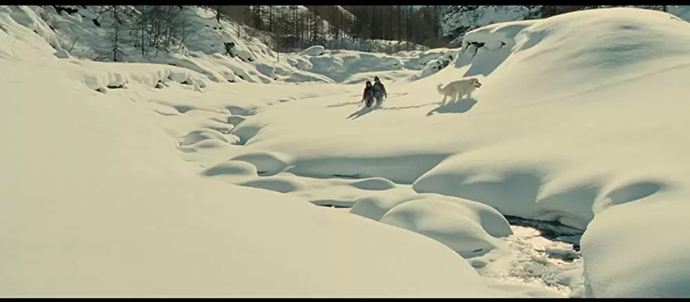 ベル＆セバスチャンの画像