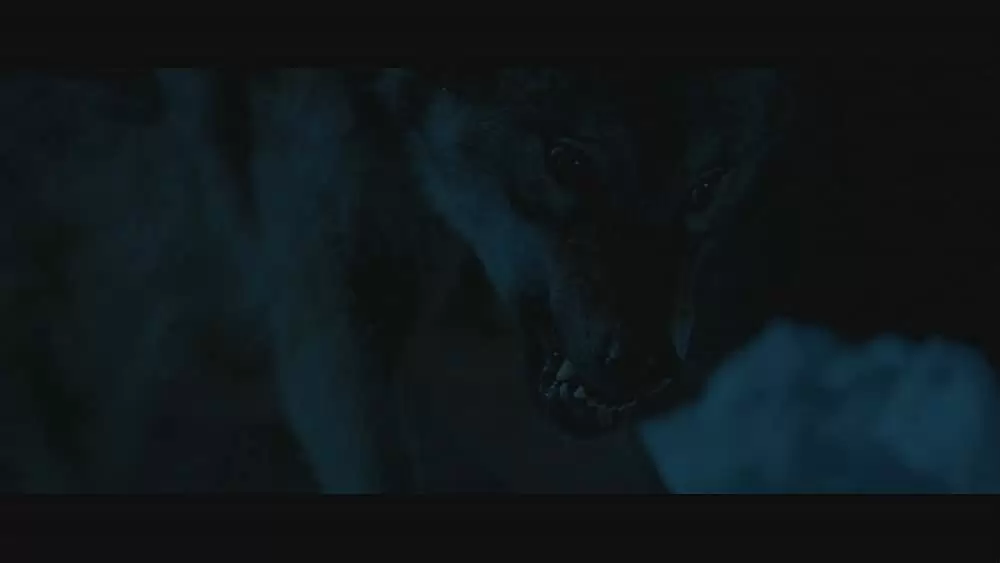 ベル＆セバスチャンの画像