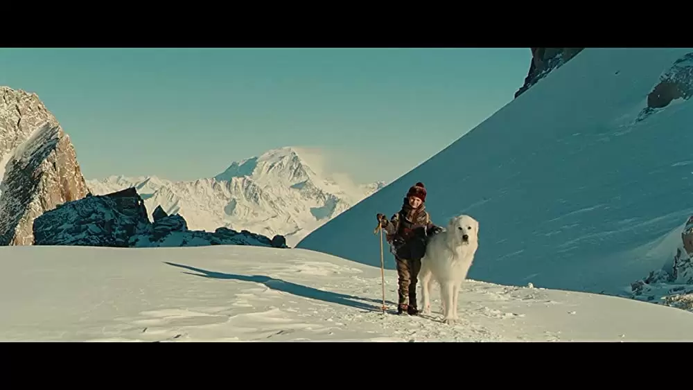 ベル＆セバスチャンの画像