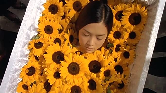 タイヨウのうたの画像