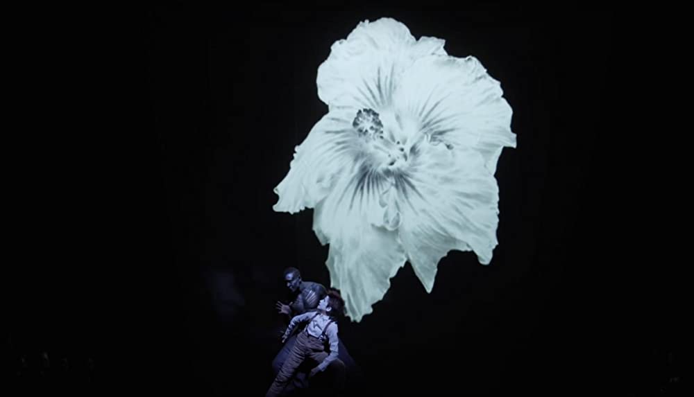 夏の夜の夢の画像