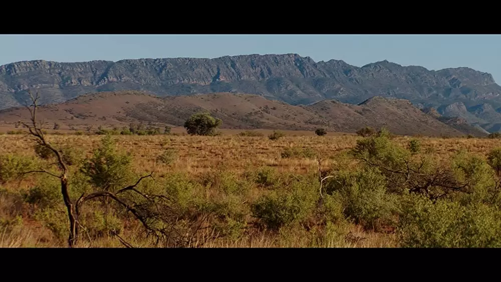 ミック・テイラー 史上最強の追跡者の画像