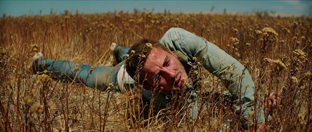 ミック・テイラー 史上最強の追跡者の画像