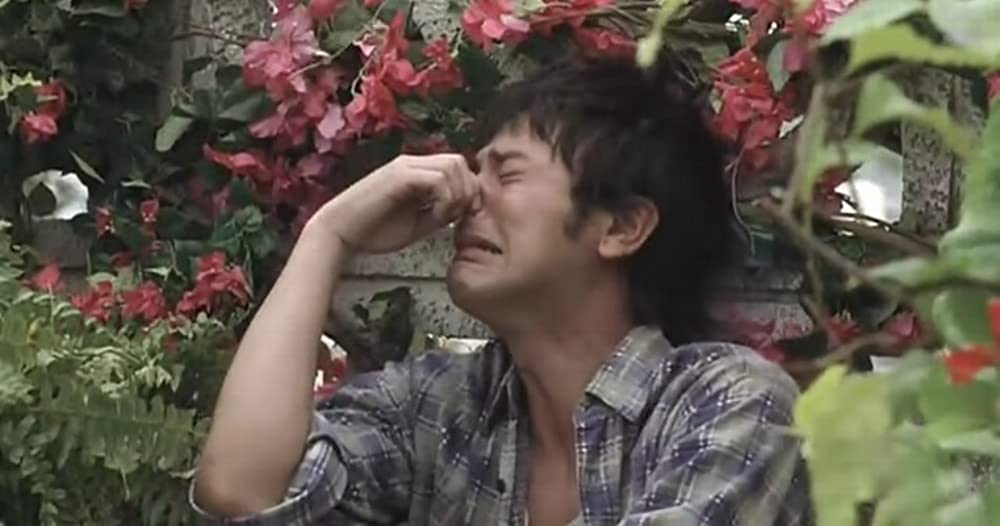 涙そうそうの画像