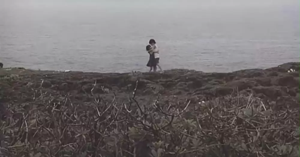 涙そうそうの画像