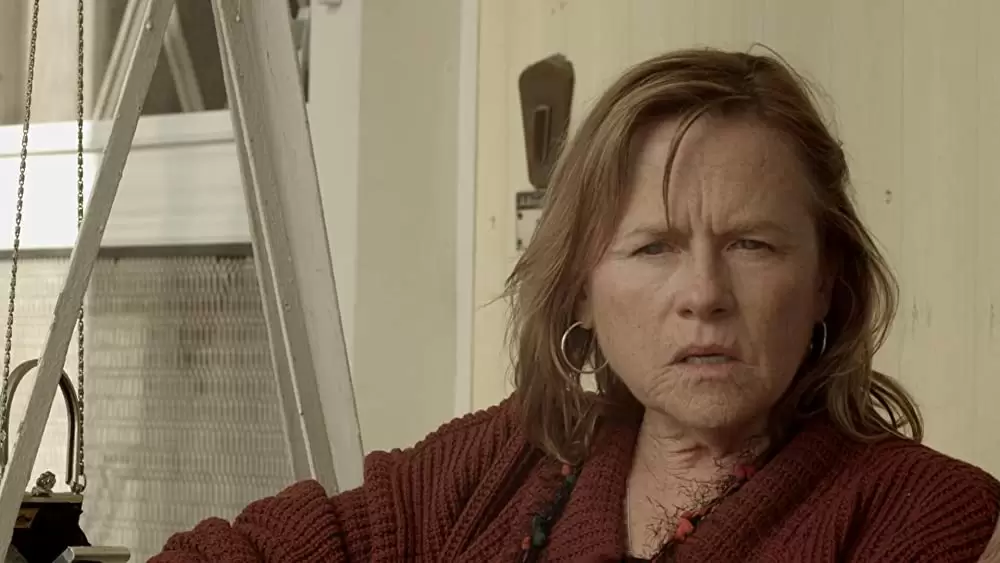 アメリカン・プリズンの画像