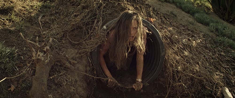 マーターズの画像