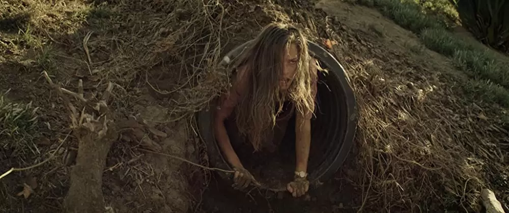 マーターズの画像