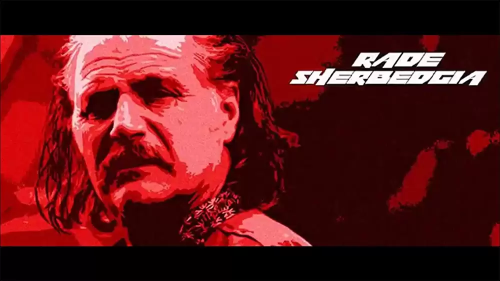 「鉄拳 Kazuya's Revenge」Rade Šerbedžijaの画像