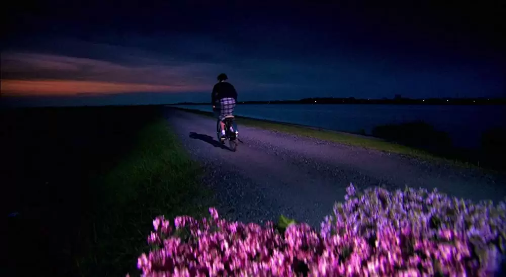 嫌われ松子の一生の画像