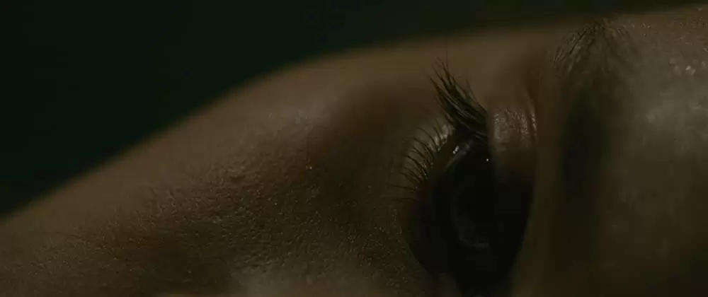 エヴォリューションの画像