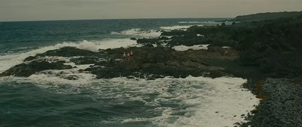 エヴォリューションの画像