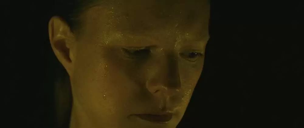 エヴォリューションの画像