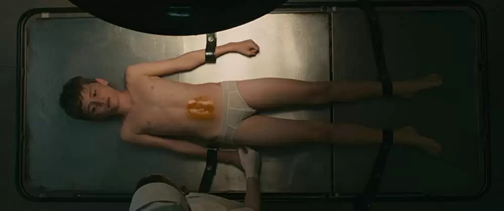 エヴォリューションの画像