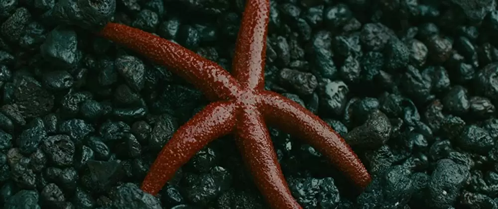 エヴォリューションの画像