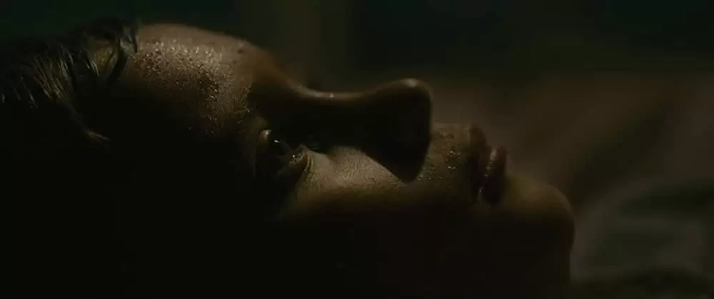 エヴォリューションの画像