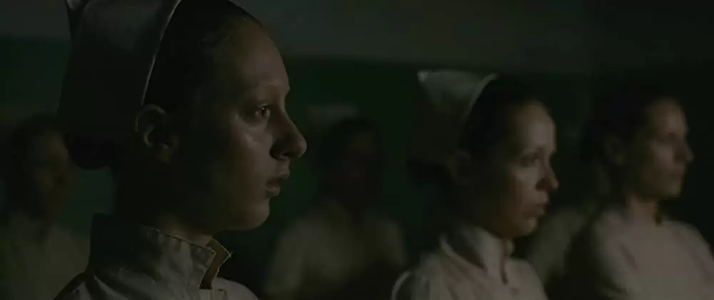 エヴォリューションの画像