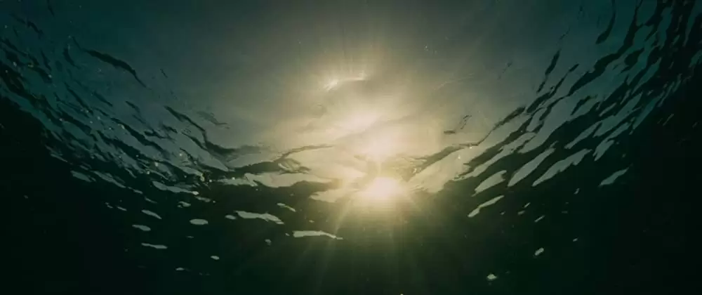 エヴォリューションの画像