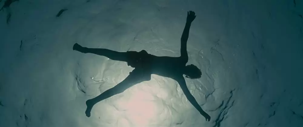 エヴォリューションの画像