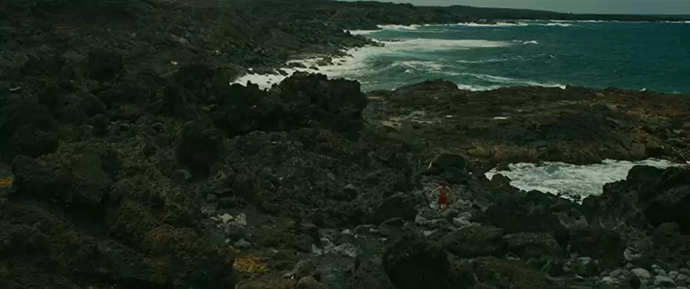 エヴォリューションの画像