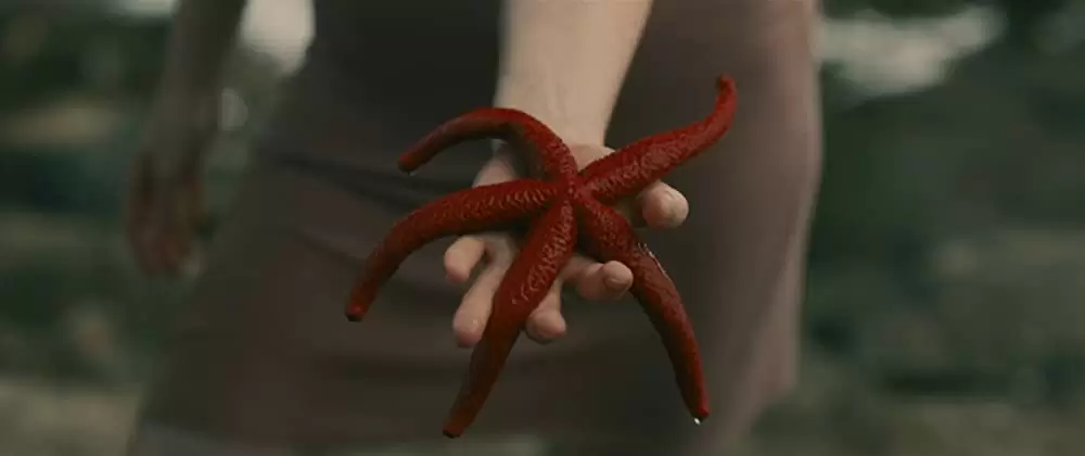 エヴォリューションの画像