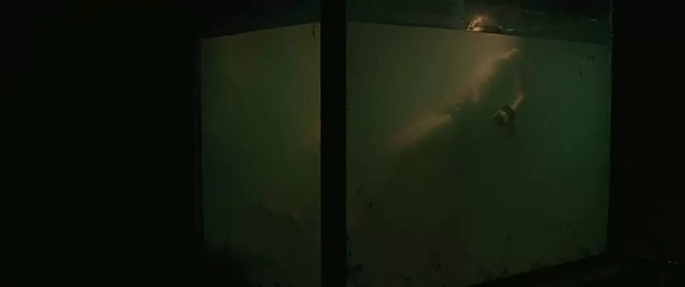 エヴォリューションの画像