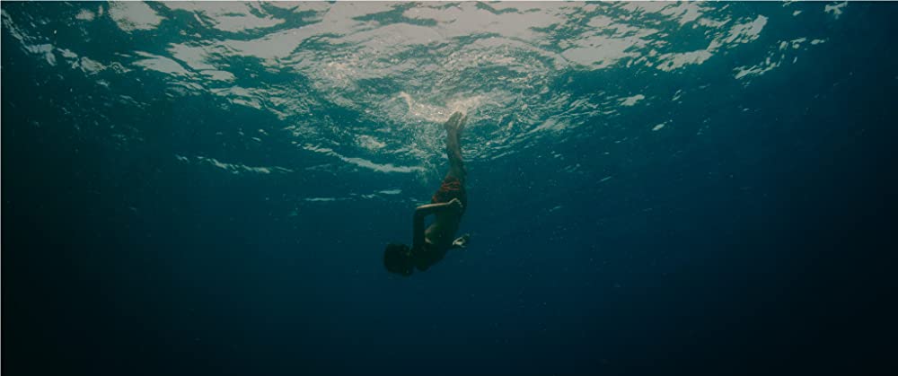 エヴォリューションの画像