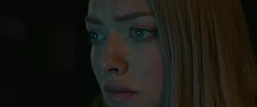 「あなたの旅立ち、綴ります」アマンダ・セイフライドの画像