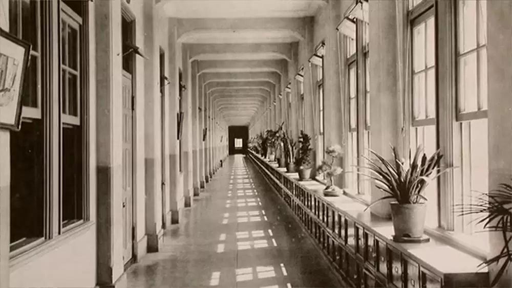 湾生回家の画像