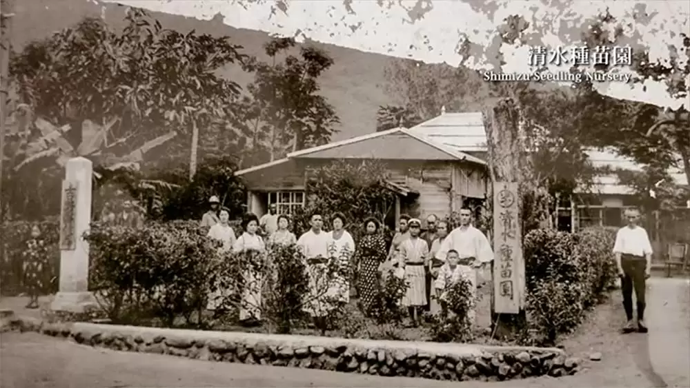 湾生回家の画像