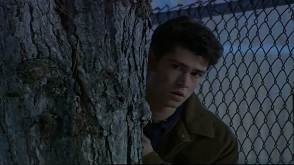 スピーシーズX 美しき寄生獣の画像