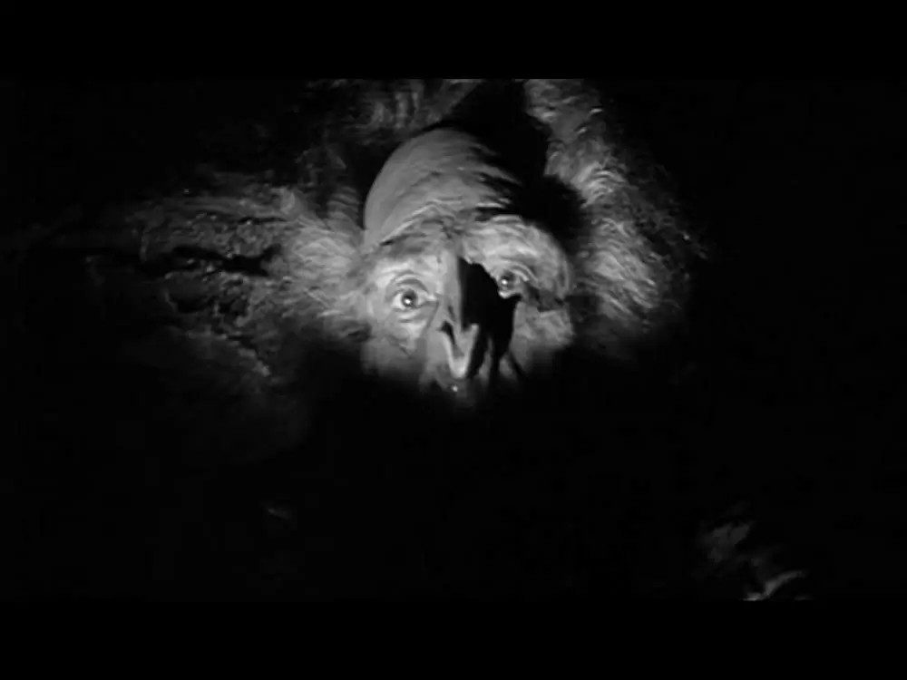 恐怖の雪男の画像