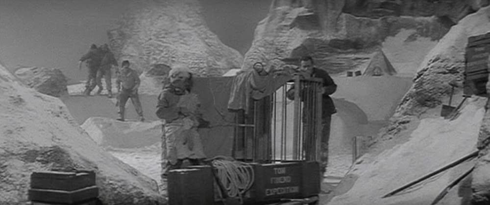 恐怖の雪男の画像