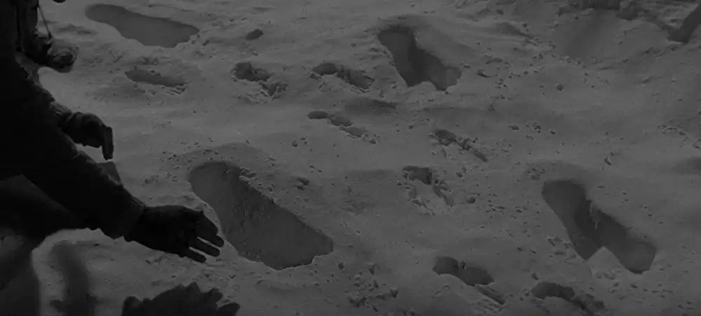 恐怖の雪男の画像