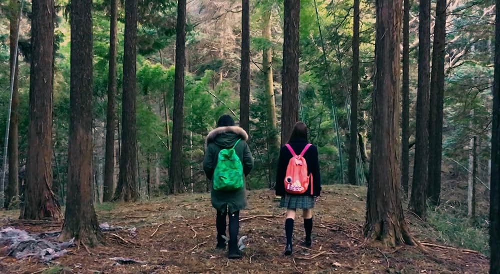 fuji_jukai.movの画像