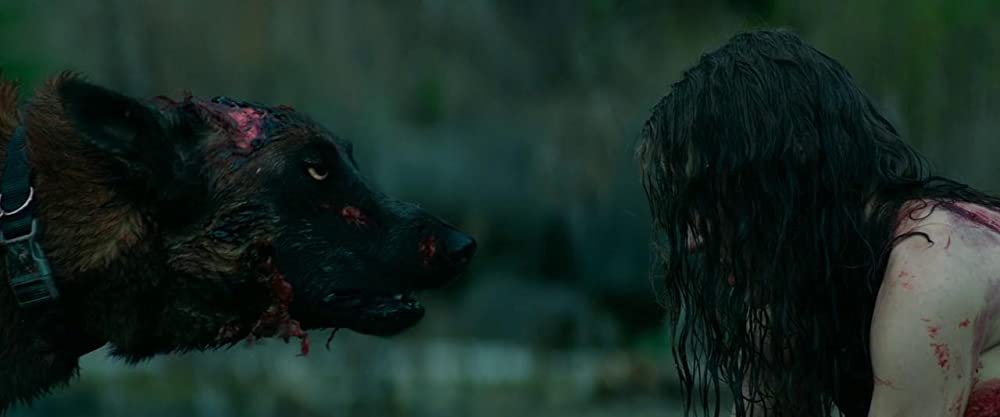 キャビン・フィーバーの画像