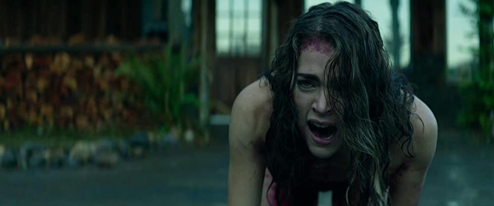 キャビン・フィーバーの画像