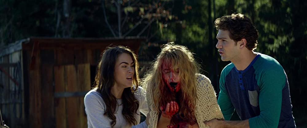 キャビン・フィーバーの画像