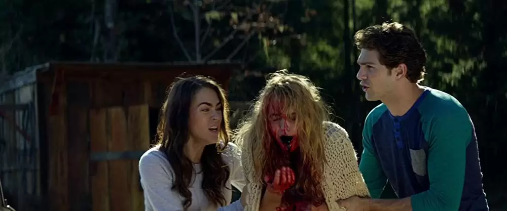 「キャビン・フィーバー」ゲイジ・ゴライトリー & ナディーン・クロッカー & サミュエル・デイビスの画像