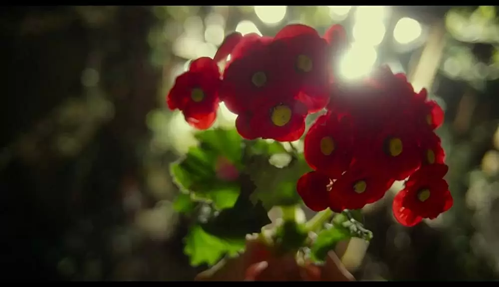 京城学校 消えた少女たちの画像