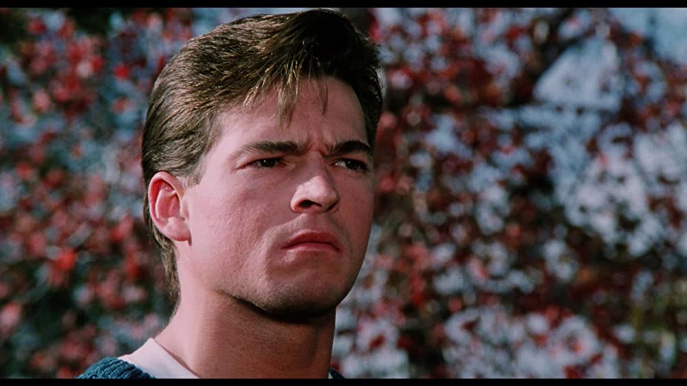 悪魔のサンタクロース2 鮮血のメリークリスマスの画像