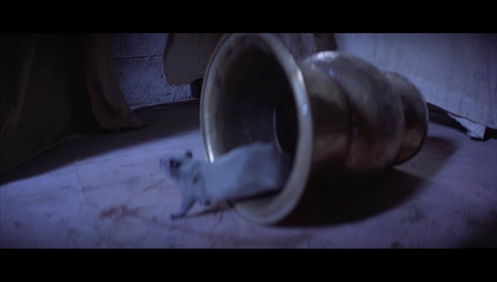 邪 ゴースト・オーメンの画像