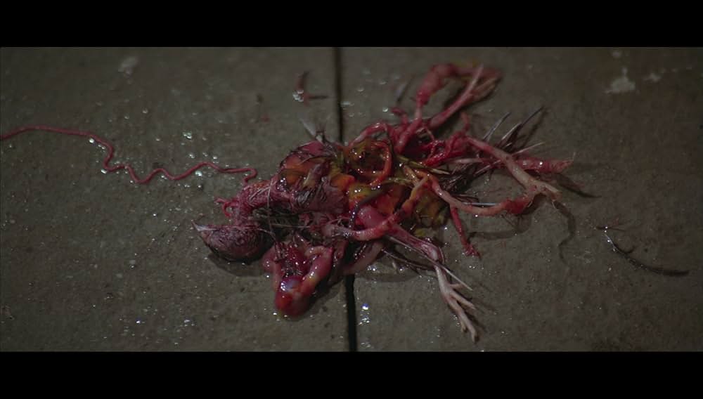 邪 ゴースト・オーメンの画像