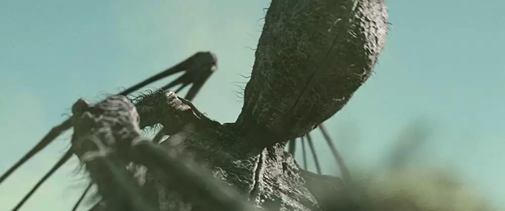 サウスバウンドの画像