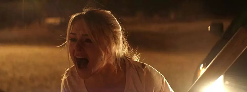 サウスバウンドの画像