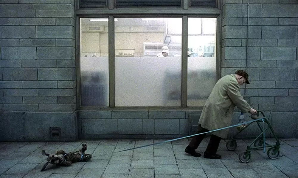 愛おしき隣人の画像